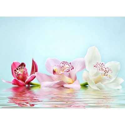 Üçlü Renkli Çiçekler 3 Boyutlu Duvar Kağıdı