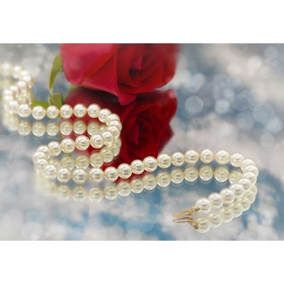 3 Boyutlu Duvar Kağıdı 