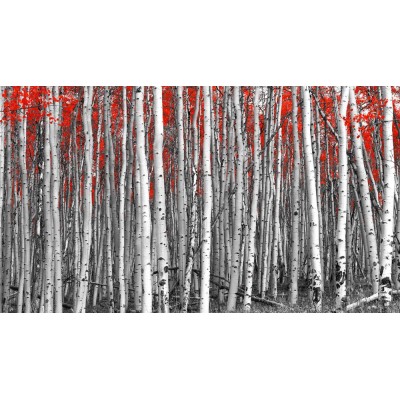 Kırmızı Yapraklı Solmuş Ağaçlar Orman3 Boyutlu Duvar Kağıdı 