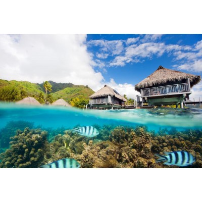 OKYANUS BALIKLAR VE YAZLIK TATİL EVLER 3D DUVAR KAĞIDI