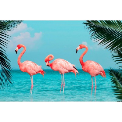 Pembe Üçlü Flamingolar  3 Boyutlu Duvar Kağıdı 