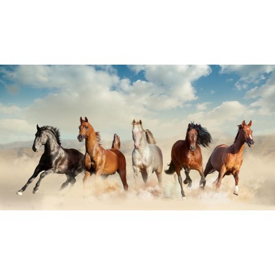 Beş Adet Rengarenk Atlar 3 Boyutlu Duvar Kağıdı 