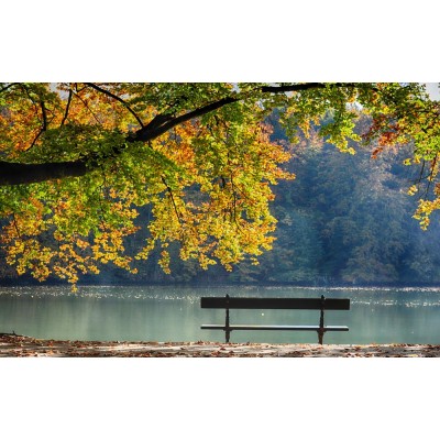 Manzara 3 Boyutlu Duvar Kağıdı 