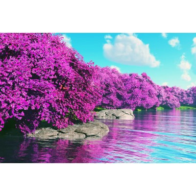 Manzara 3 Boyutlu Duvar Kağıdı 