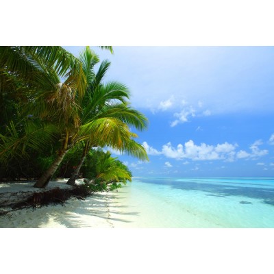 Manzara 3 Boyutlu Duvar Kağıdı 