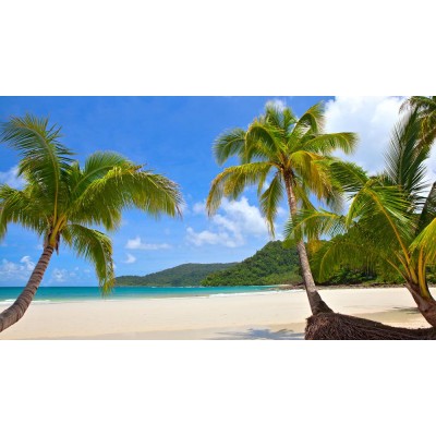 Manzara 3 Boyutlu Duvar Kağıdı 