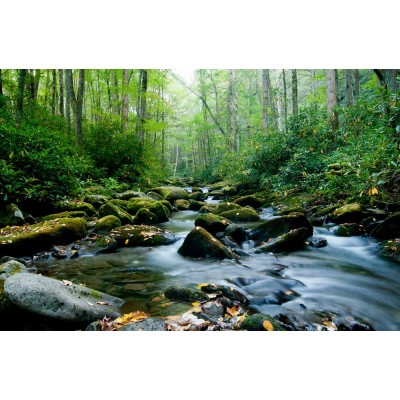 Manzara 3 Boyutlu Duvar Kağıdı 