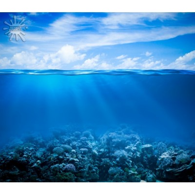 Deniz Akvaryum Posterleri Deniz-215