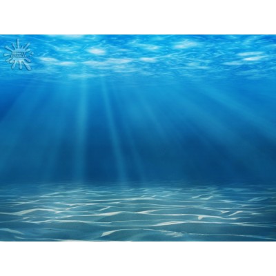 Deniz Akvaryum Posterleri Deniz-255
