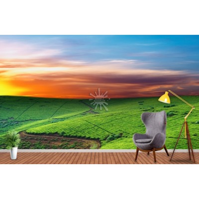 Gün Batımı Posterleri Gün Batımı-07